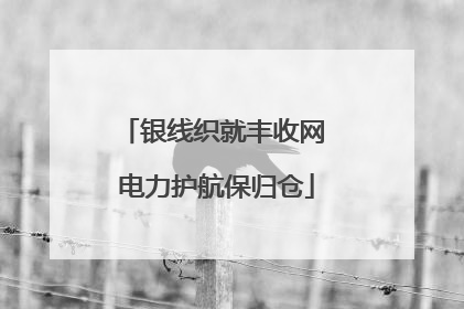 银线织就丰收网 电力护航保归仓